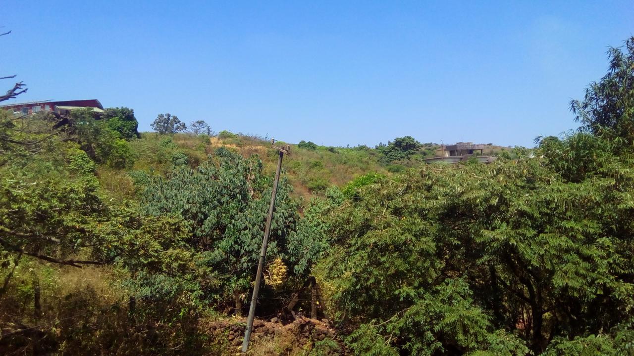 Hotel Tree Top Mahabaleshwar Ngoại thất bức ảnh
