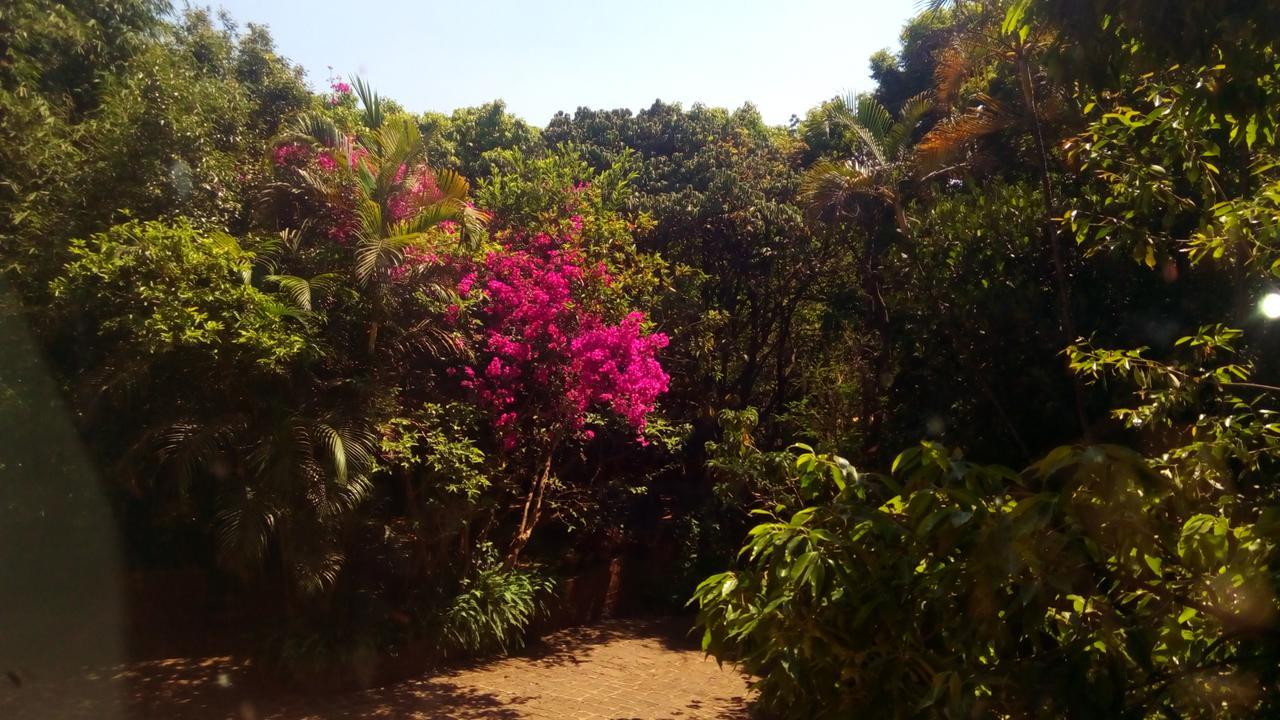 Hotel Tree Top Mahabaleshwar Ngoại thất bức ảnh