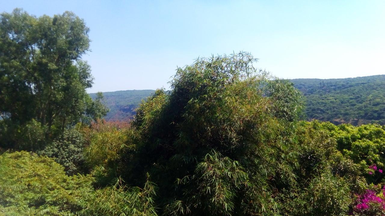 Hotel Tree Top Mahabaleshwar Ngoại thất bức ảnh